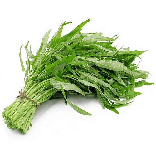 [Seeds] Hạt giống rau muống lá tre, đóng gói 1kg