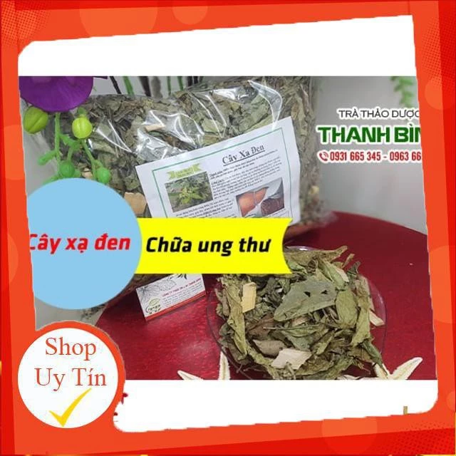 Cây Xạ Đen Khô 1Kg - Hàng Công Ty Loại 1