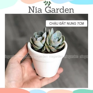 Chậu đất nung trồng sen đá xương rồng gờ cao trắng nhỏ mini Nia Garden N3
