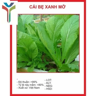 Hạt giống Cải Bẹ Xanh Mỡ 20gr ~4000 Hạt