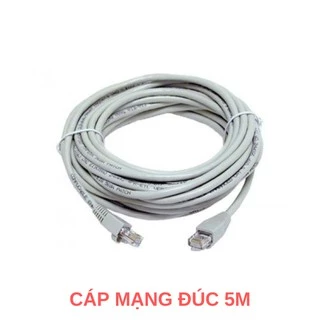 DÂY CÁP MẠNG HAI ĐẦU ĐÚC 5M