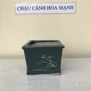 Chậu Vuông khắc bonsai sen đá mini màu xanh ngọc gốm Bát tràng 1 size SP426