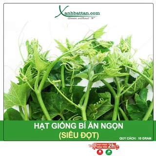 Hạt Giống Bí Ngọn Siêu Đọt Phú Nông Gói 10 Gram