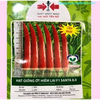 HẠT GIỐNG ỚT HIỂM LAI F1 SANTA 8.0- Hạt giống chất lượng cao (5gr/gói)