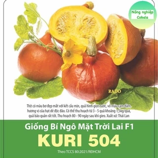 Hạt Giống Bí Ngô Mặt Trời (504) 1gr