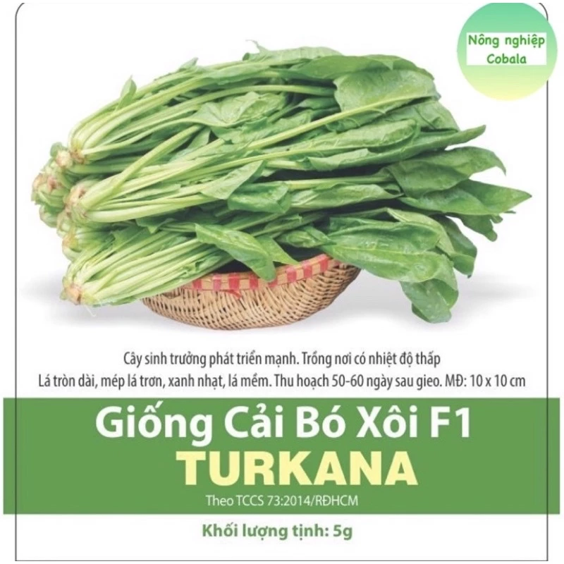 Hạt giống cải bó xôi