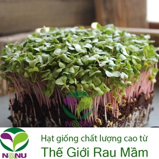 Hạt giống Rau Mầm Củ Cải Đỏ - 1kg _Thế Giới Rau Mầm_thegioiraumam.com