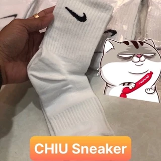 [ CHIU Sneaker ] Tất Vớ trắng cổ cao dày dặn co giãn cao cấp