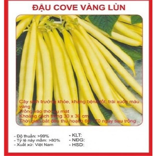 Hạt giống đậu cô ve lùn vàng 1 gói 30 gram