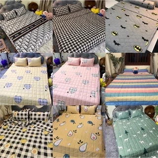 Set Chăn Hè 5 món Poly cotton_Chăn Hè trần bông mỏng [12 màu]