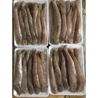 cá bống biển thơm ngon 1kg chiên , kho