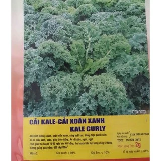 HẠT GIỐNG CẢI KALE - CẢI XOĂN XANH - GÓI 2 GRAM