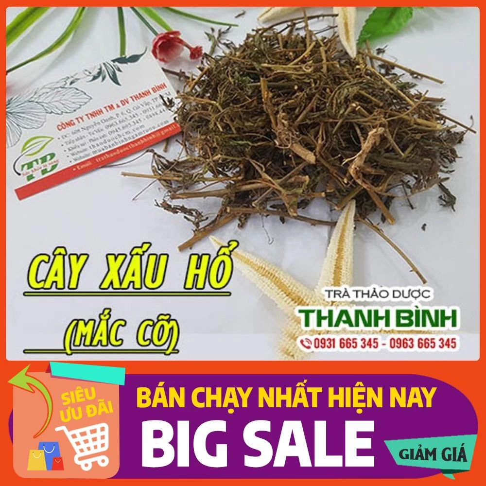 Cây Xấu Hổ (Trinh Nữ) Khô 1KG - Hàng Loại 1 - Dược Liệu Thanh Bình