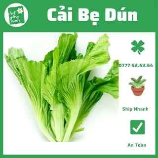 Cải Bẹ Dún(20g)