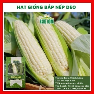 Hạt giống bắp nếp dẻo thơm ngon (ngô nếp) - rau củ quả trồng chậu, sân vườn ban công ngon giòn ngọt 10g RADO 936