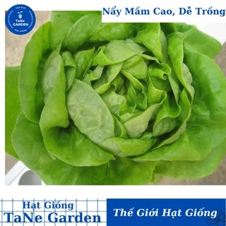 2Gr Hạt Giống Xà Lách Đăm - TaNe Garden