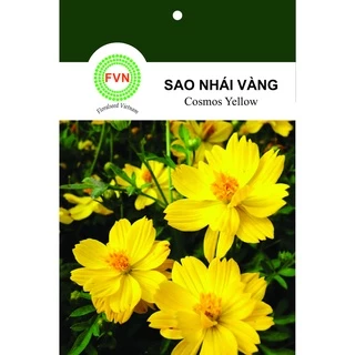 HẠT GIỐNG HOA SAO NHÁI / SAO NHÁY / HOA CÁNH BƯỚM VÀNG LÙN FVN GÓI 15 HẠT - COSMOS GOLD