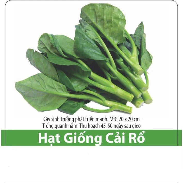 Hạt Giống Cải Rổ Chịu Nhiệt, Nâng Suất Cao Gói 5gr