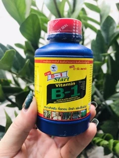 Phân bón lá Vitamin B1 Thái Lan (100ml)'''''''''''''''