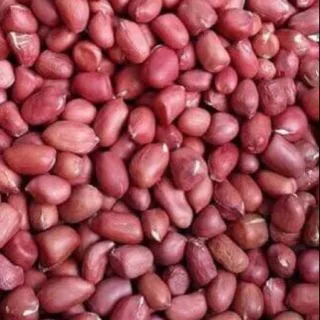 Lạc gié đất đồi 1 kg