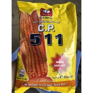 GIỐNG NGÔ LAI F1 CP511 GÓI 1KG- NHIỀU HÀNG HẠT