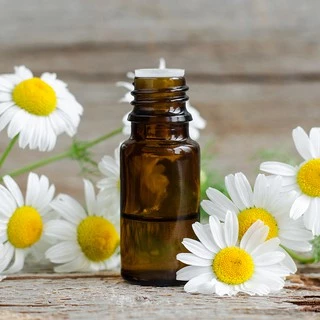 Tinh dầu Hoa Cúc 50ml Nguyên Chất 30% | Daisy Flower Oil Pure 30% | 50ml