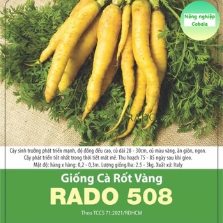 Hạt Giống Cà Rốt Vàng (RD508) 5gr