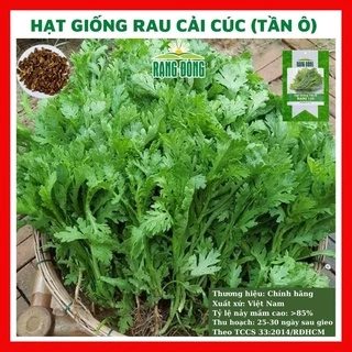 Hạt giống rau cải cúc (tần ô) - rau củ quả trồng chậu, vườn dễ chăm sóc, tỷ lệ nảy mầm cao 20gr RADO 123