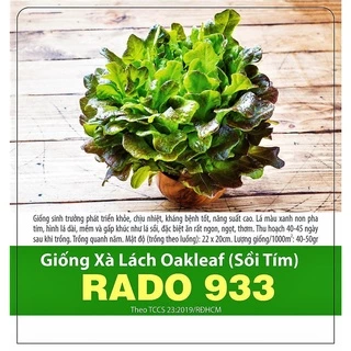 Hạt giống xà lách sồi tím Oakleaf dễ trồng, ăn ngon nhiều dinh dưỡng gói 2gram