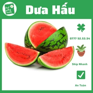 Hạt Giống Dưa Hấu (0.5gr) phù hợp khí hậu VN