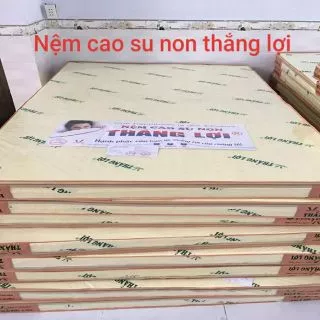 Nệm cao su non thắng lợi 1m6×2m×10cm bảo hành 15 năm