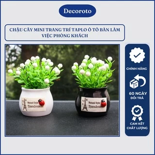 Chậu Cây Mini Trang Trí Ô Tô Bàn Làm Việc Phòng Khách Taplo Xe Hơi - Phụ Kiện Decoroto Ngộ Nghĩnh Giá Rẻ