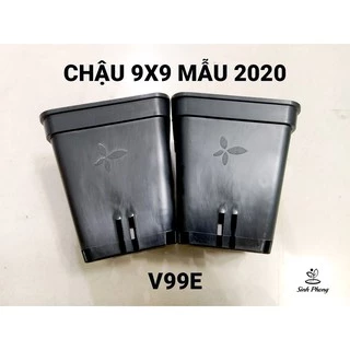 Chậu vuông 9x9 đen (Set 50 cái)