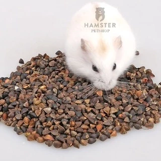 HẠT BA KHÍA cho Hamster, sóc, vẹt