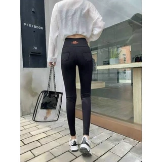 Quần Legging Dài Cạp Cao Siêu Hot A300.149