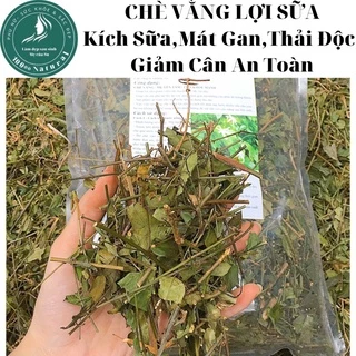 Chè vằng, Chè vằng lợi sữa, Trà lợi sữa