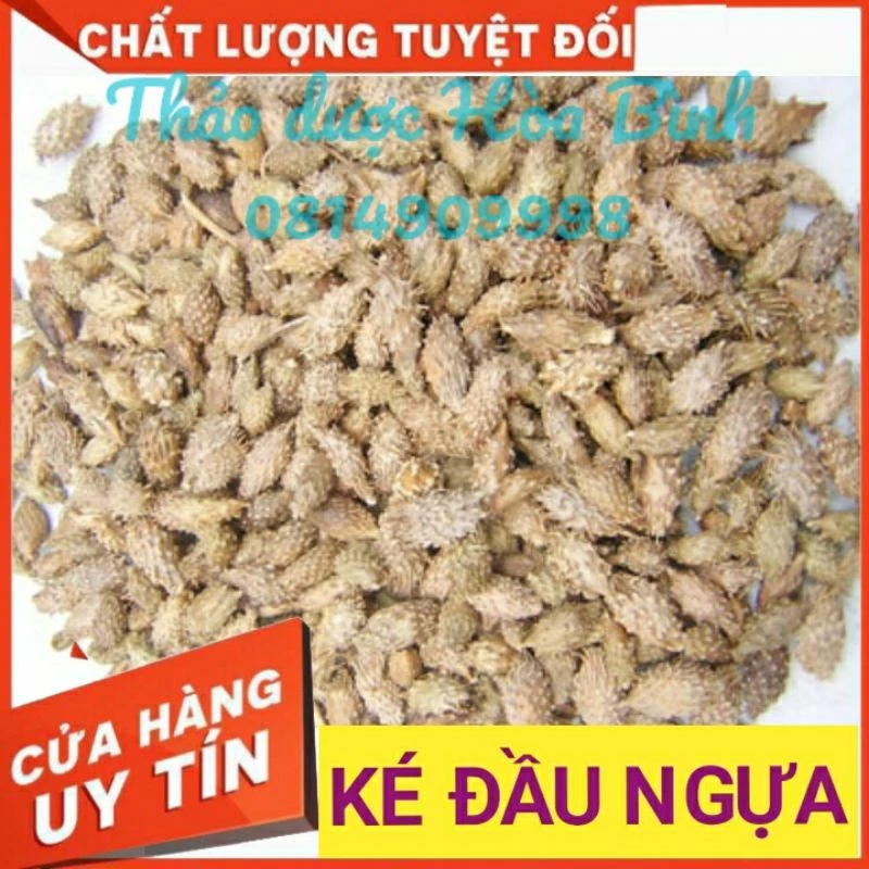 [ Shop Mới ] Ké Đầu Ngựa 1kg - Ké Quả - Thương Nhĩ Tử -  Hàng mới, khô, đẹp