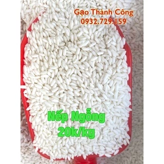 Nếp Ngỗng 25/kg Dẻo Thơm, Chắc Hạt(Tân Bình)