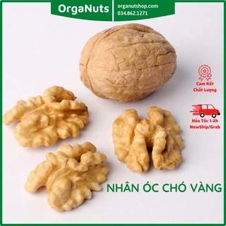 500g Nhân Óc Chó Vàng nhập khẩu Mỹ đã tách vỏ - Thơm ngon, bổ dưỡng by OrgaNuts