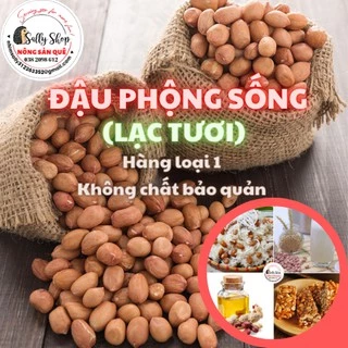 Đậu Phộng Sống Hữu Cơ SallFood 1kg Lạc Nhân Tươi Không Chất Bảo Quản Shop Nông Sản Quê Sạch Sally Food