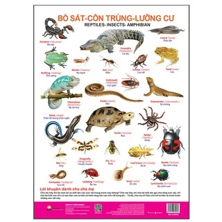 Sách Pandabooks - Poster Bò sát Côn trùng Lưỡng cư dạy trẻ trực quan, sinh động, vui nhộn