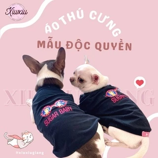 [Mẫu Thiết Kế] Áo Thú Cưng Chó Mèo In Hình Sugar Baby - Xiuxiu Giang