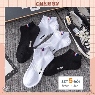 Tất cổ ngắn nam nữ chất liệu vải Hàn thoáng khí co giãn bốn chiều, Set 5 đôi - Cherry Shop