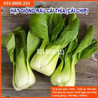 Hạt Giống Cải Thìa 20g - Tỷ Lệ Nảy Mầm Cao