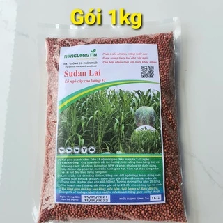 Hạt Giống Cỏ Sudan Lai (Gói 1kg) - Dòng Cỏ Ngô Đảm Bảo Tỉ Lệ Nảy Mầm Cao