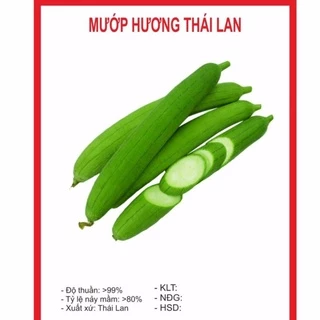 Hạt Giống Mướp Hương ( 10 hạt)