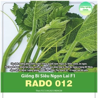 Gói Hạt Giống Rau Bí Siêu Ngọn Giòn Ngọt, Năng Suất Cao 5gr Giống Mới Chịu Nhiệt 4 Mùa