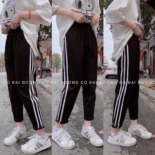 Quần nữ baggy 3 sọc chất umi