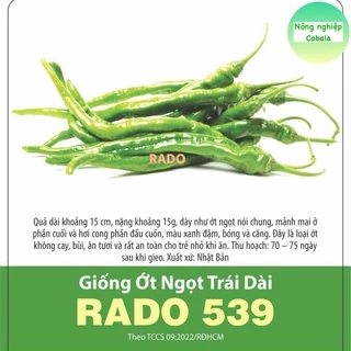 Hạt Giống Ớt Ngọt Trái Dài (RD539) 0.5gr