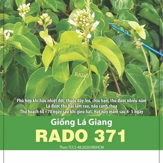 Hạt giống Lá giang Rado 371 (5 hạt) Rạng Đông | VTNN Cần Thơ